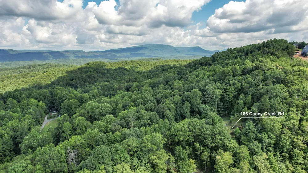 186 Caney Creek Road Reliance, TN 37369