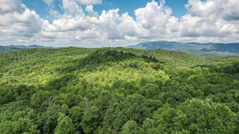 186 Caney Creek Road Reliance, TN 37369