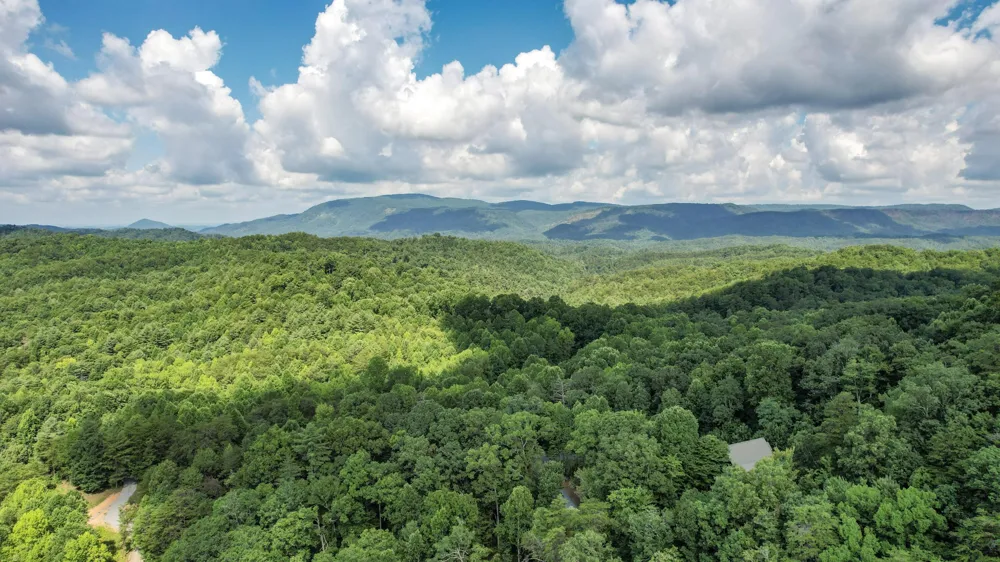 186 Caney Creek Road Reliance, TN 37369