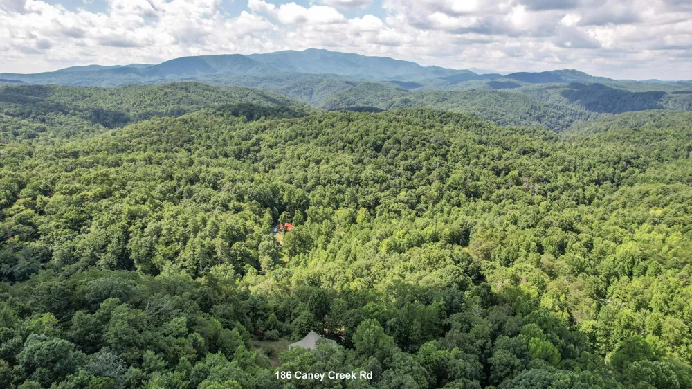 186 Caney Creek Road Reliance, TN 37369