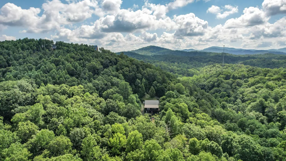 186 Caney Creek Road Reliance, TN 37369
