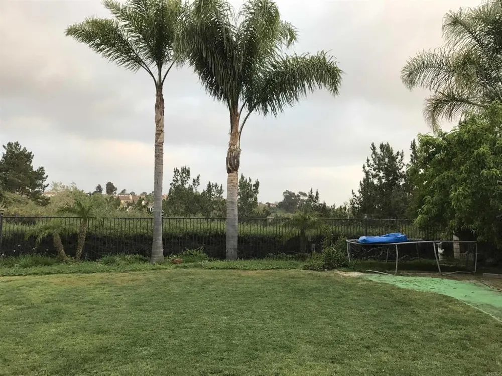 7908 Calle Oliva Carlsbad, CA 92009