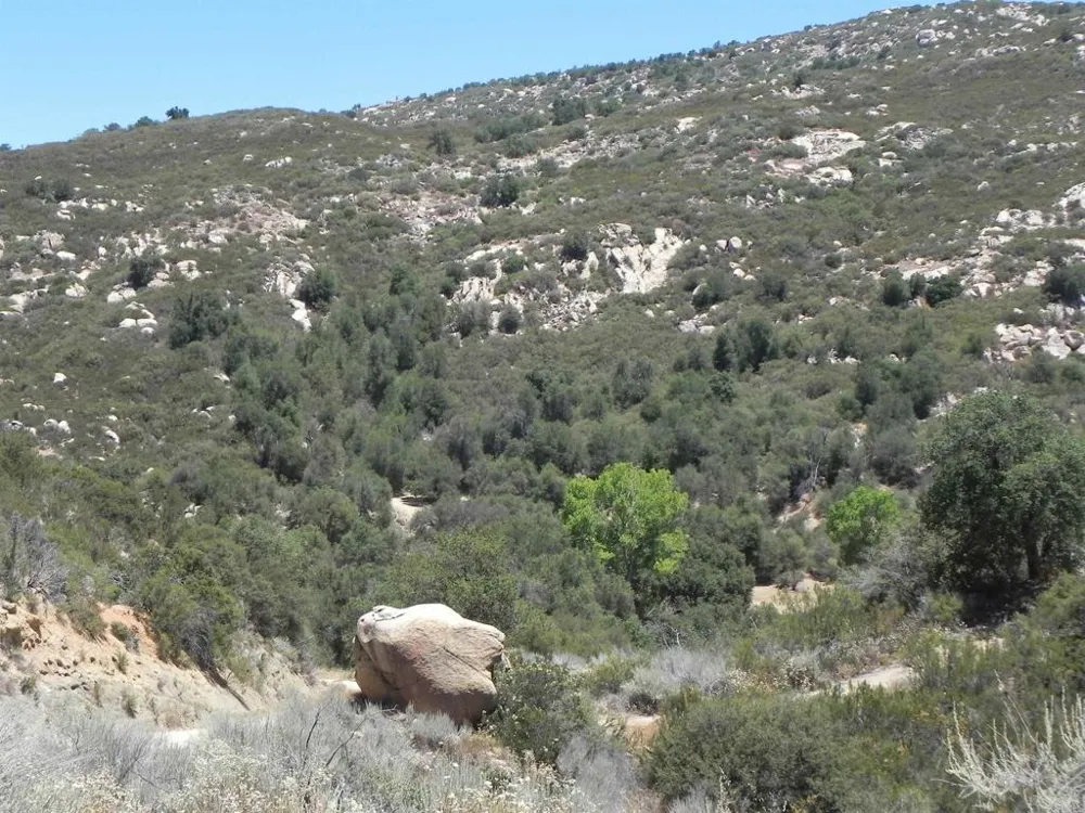 9779 Deer Valley Trail Descanso, CA 91916