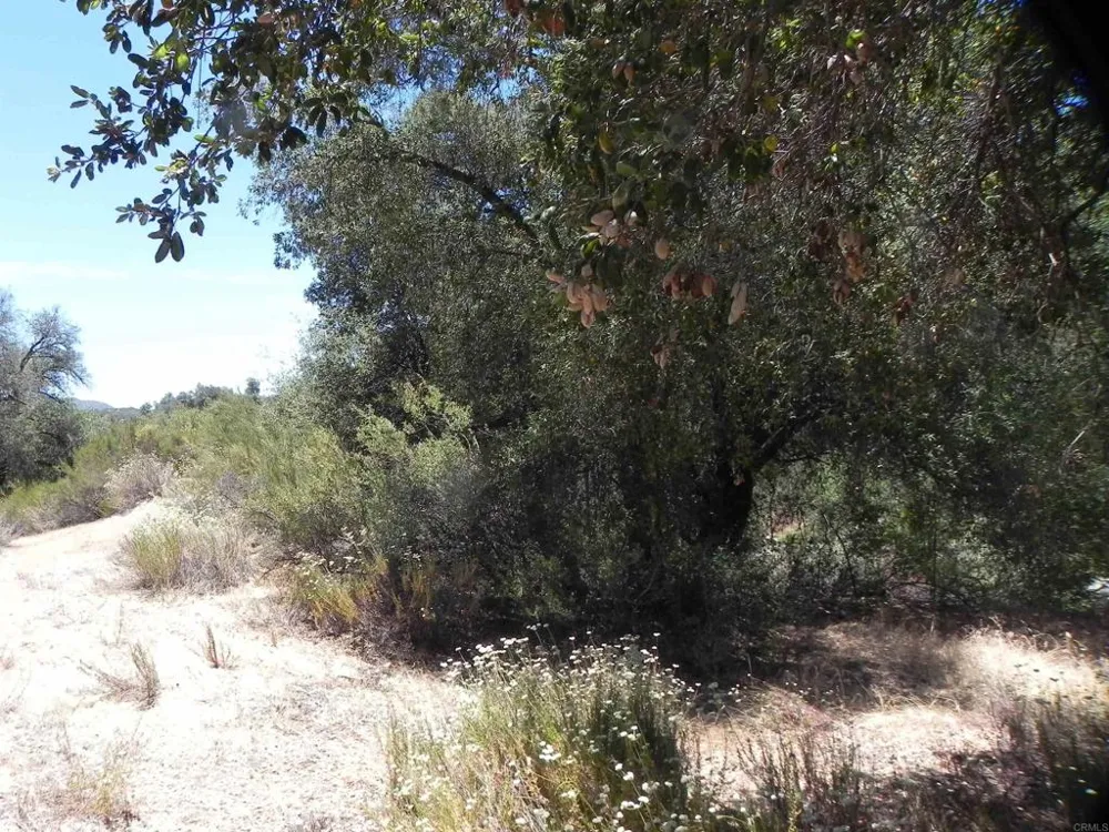 9779 Deer Valley Trail Descanso, CA 91916