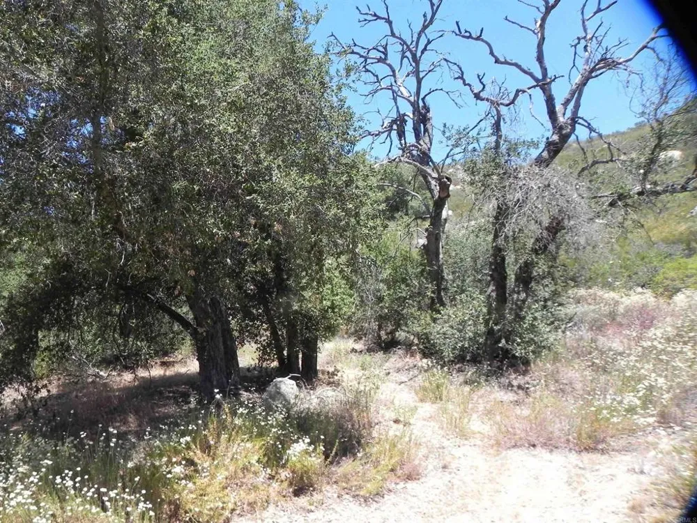 9779 Deer Valley Trail Descanso, CA 91916