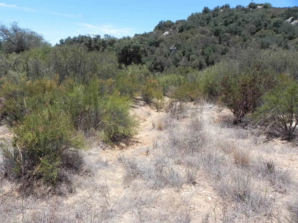 9779 Deer Valley Trail Descanso, CA 91916