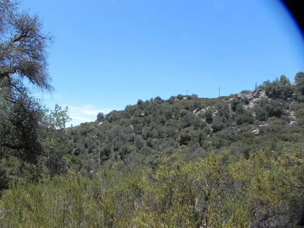 9779 Deer Valley Trail Descanso, CA 91916
