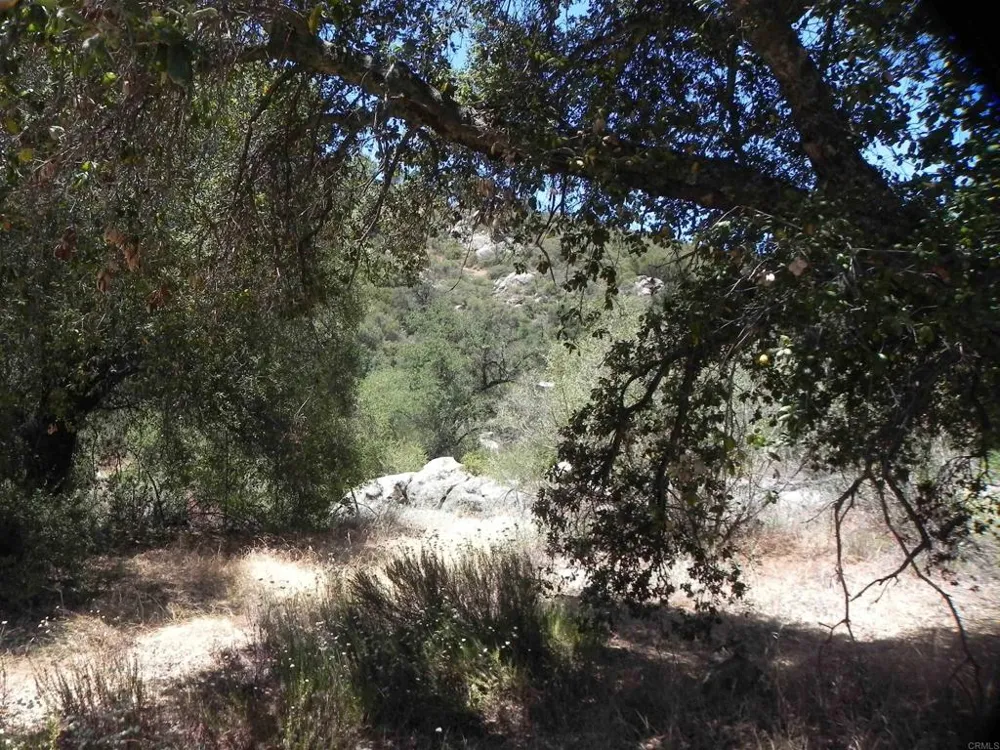 9779 Deer Valley Trail Descanso, CA 91916