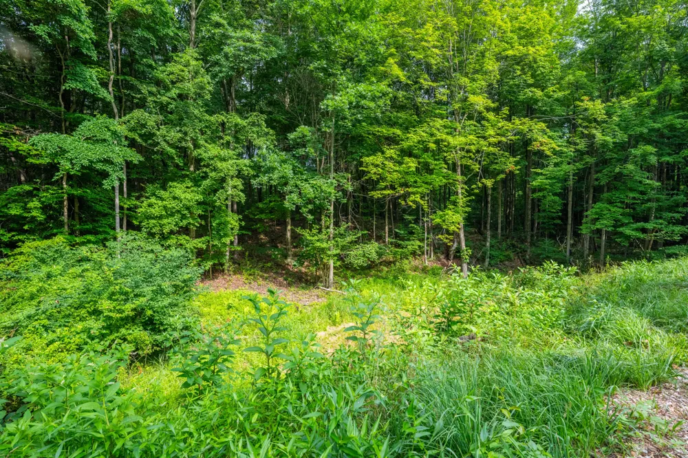 412 63rd Street Casco Township, MI 49090