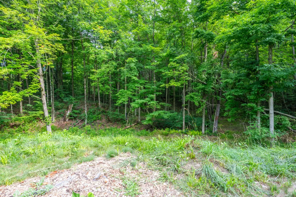 412 63rd Street Casco Township, MI 49090