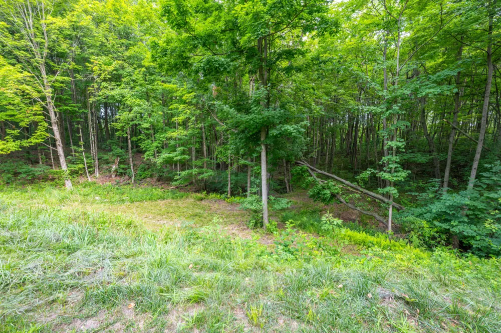 412 63rd Street Casco Township, MI 49090