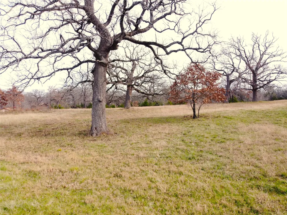 14022 Whatley Drive Streetman, TX 75859