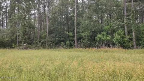 Mississippi 43 N