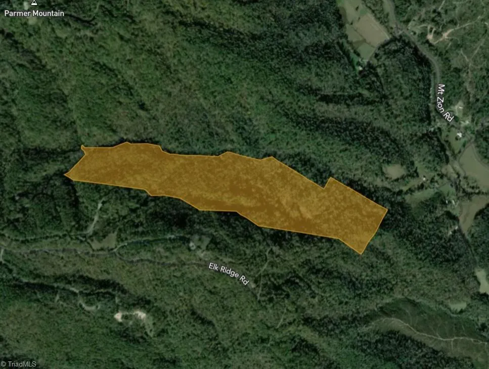 TBD Elk Horn Road Ferguson, NC 28624