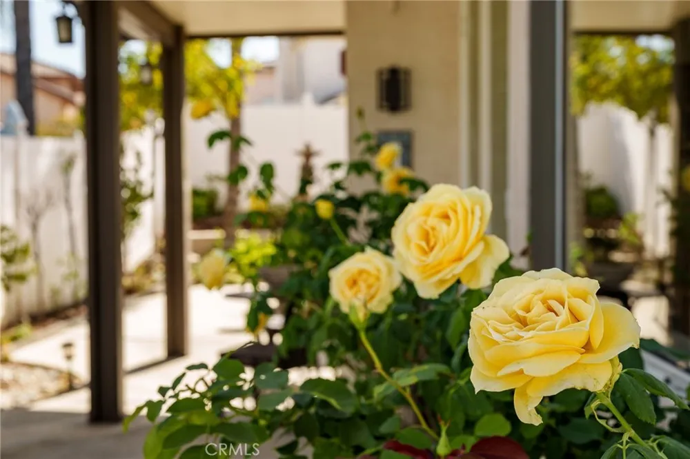 2163 Thyme Corona, CA 92879