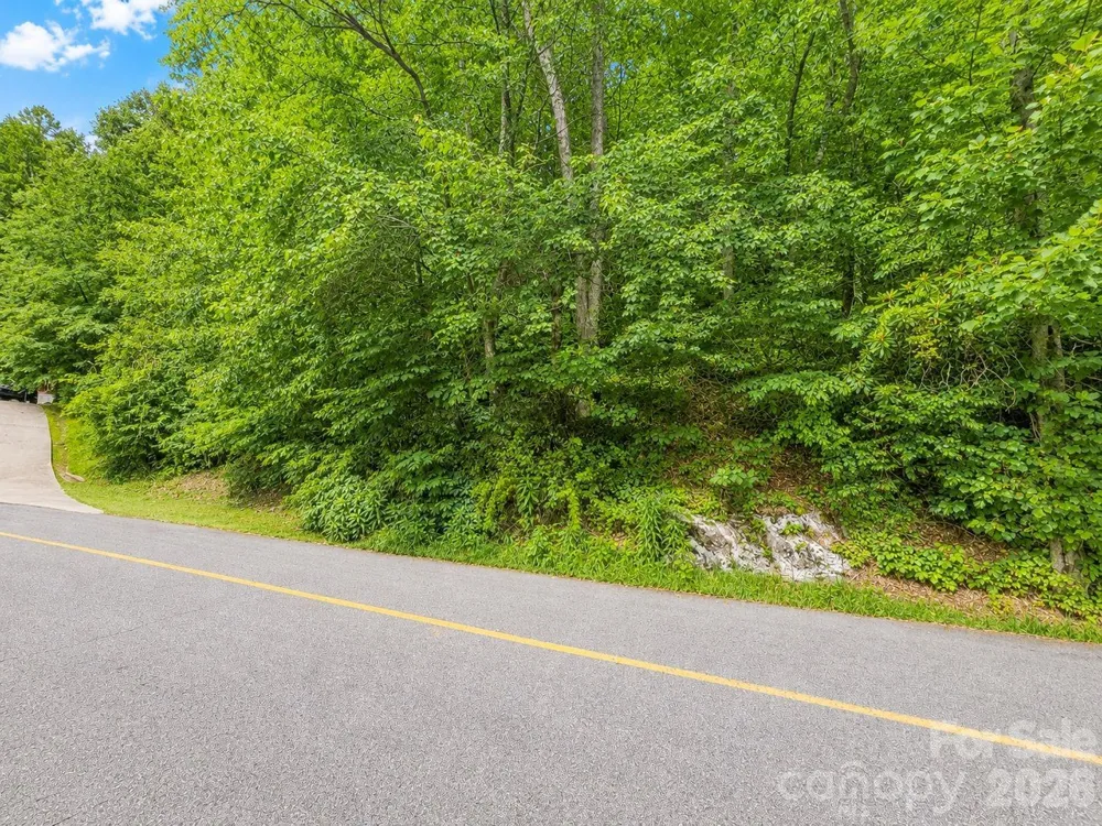 350 Mountain View Drive Maggie Valley, NC 28751