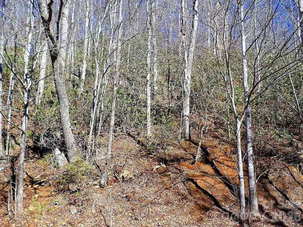 350 Mountain View Drive Maggie Valley, NC 28751
