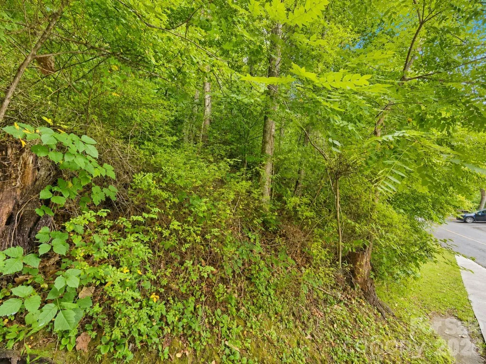 350 Mountain View Drive Maggie Valley, NC 28751