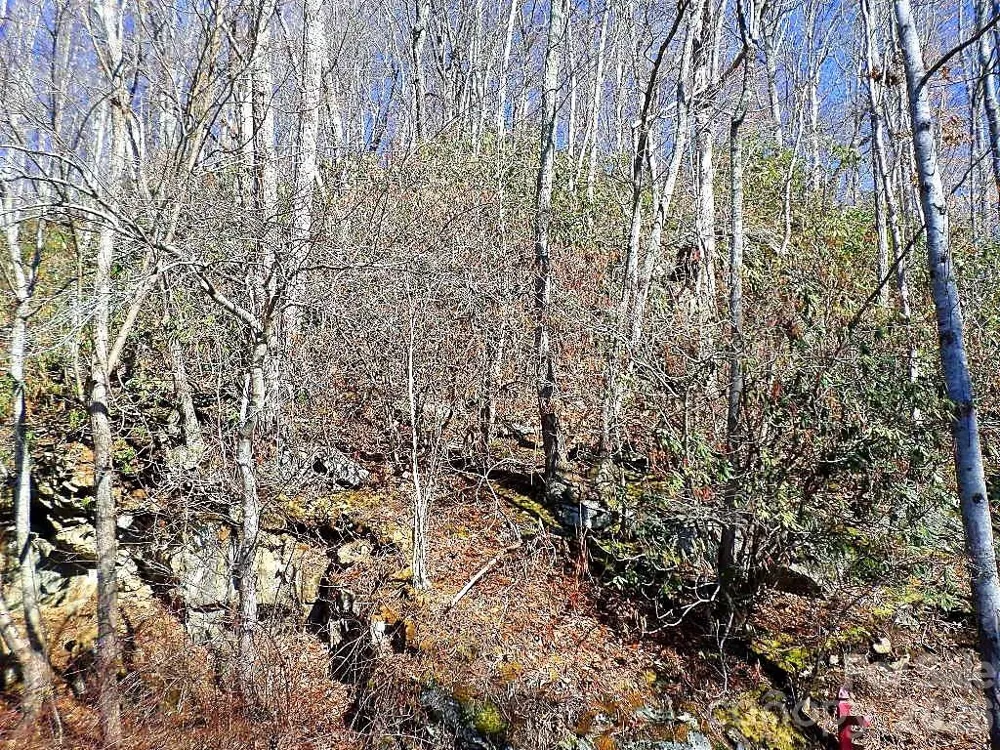350 Mountain View Drive Maggie Valley, NC 28751