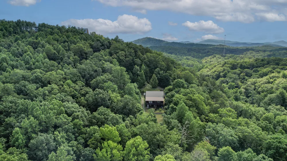 186 Caney Creek Road Reliance, TN 37369