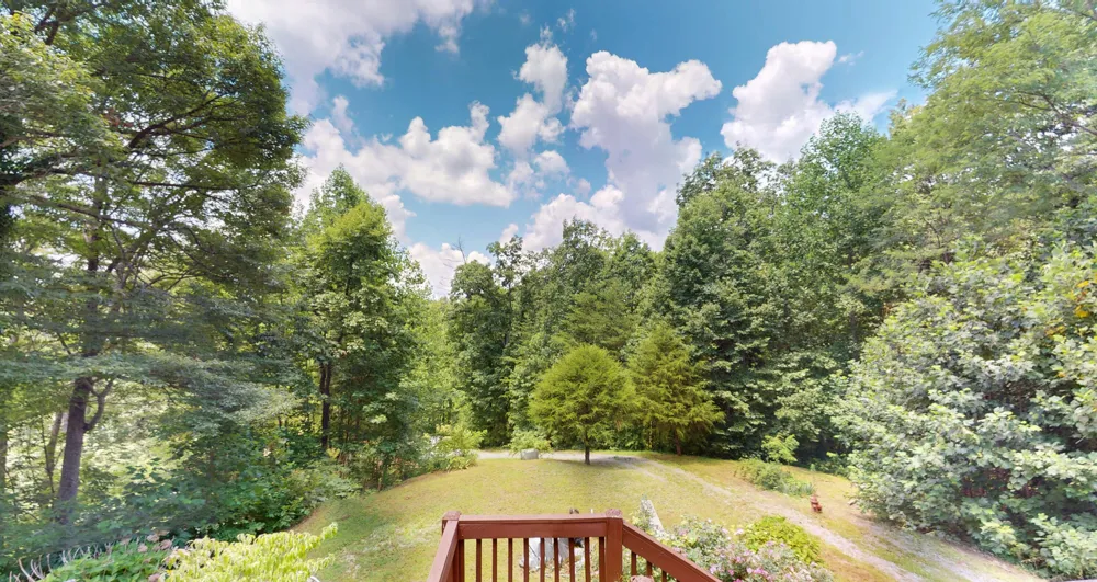 186 Caney Creek Road Reliance, TN 37369