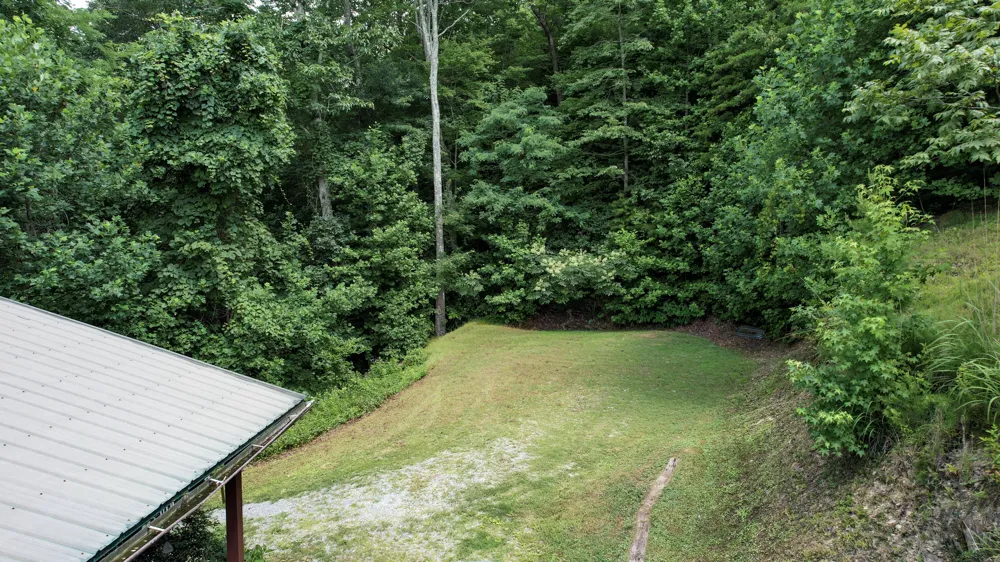 186 Caney Creek Road Reliance, TN 37369