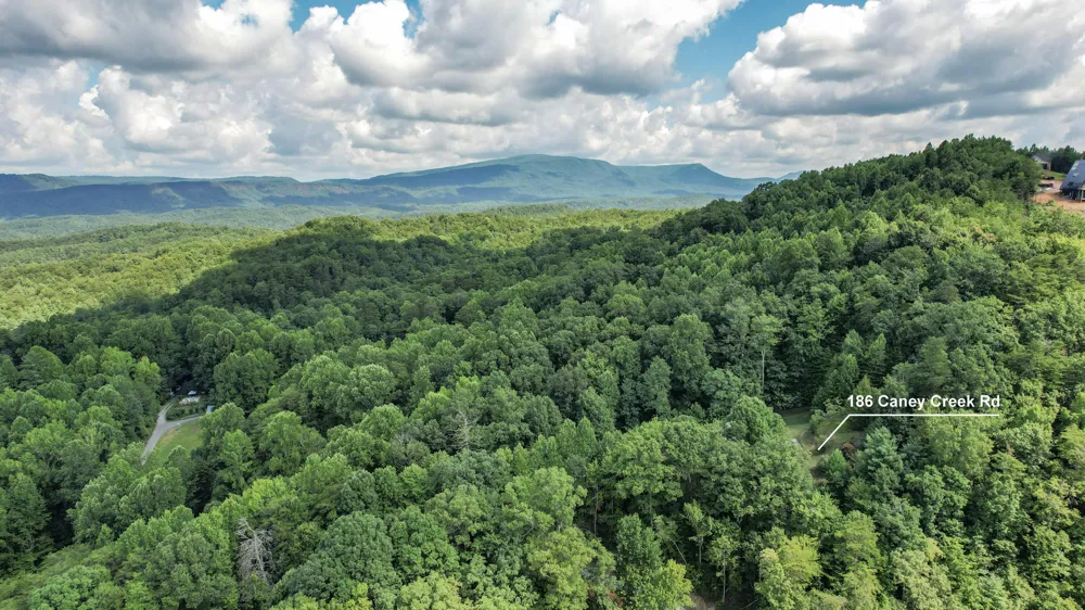 186 Caney Creek Road Reliance, TN 37369