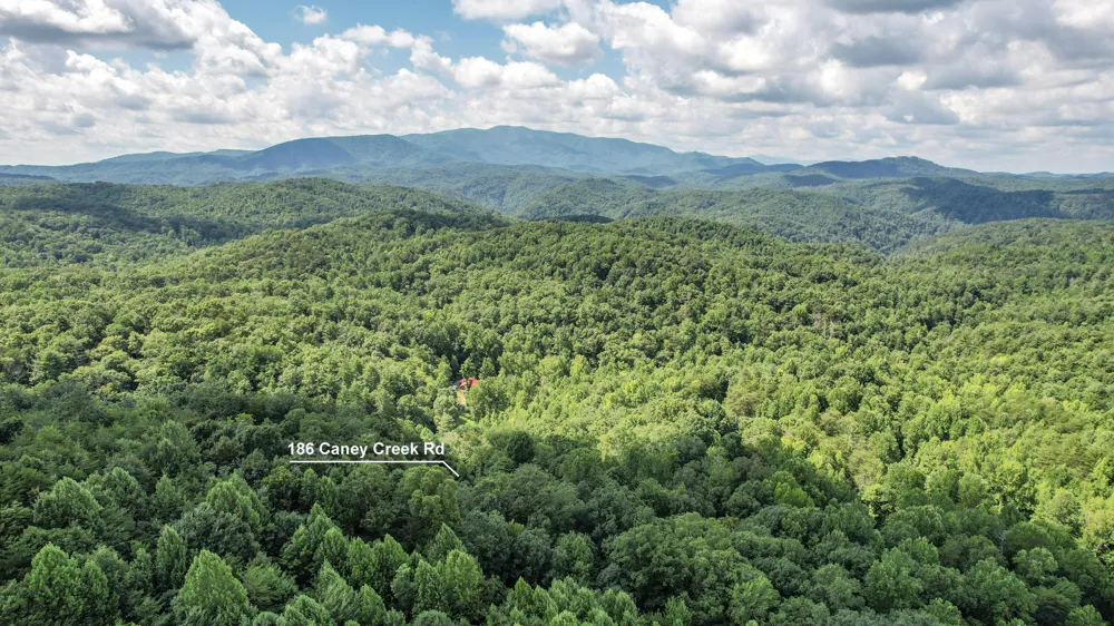 186 Caney Creek Road Reliance, TN 37369