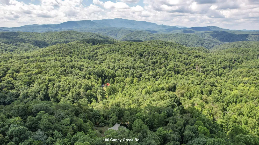 186 Caney Creek Road Reliance, TN 37369