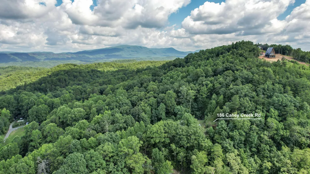 186 Caney Creek Road Reliance, TN 37369