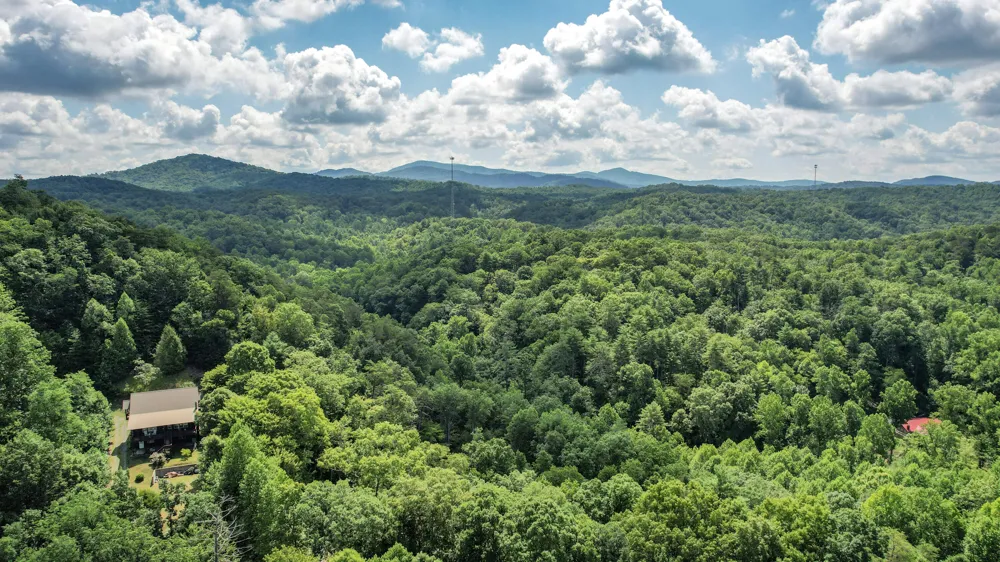 186 Caney Creek Road Reliance, TN 37369