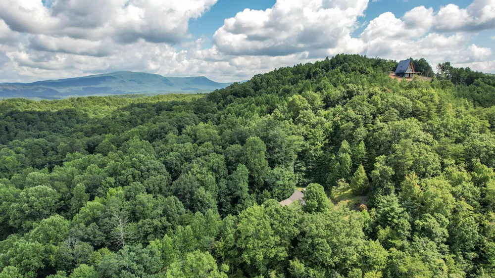 186 Caney Creek Road Reliance, TN 37369