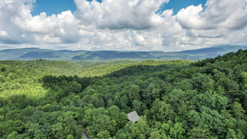 186 Caney Creek Road Reliance, TN 37369