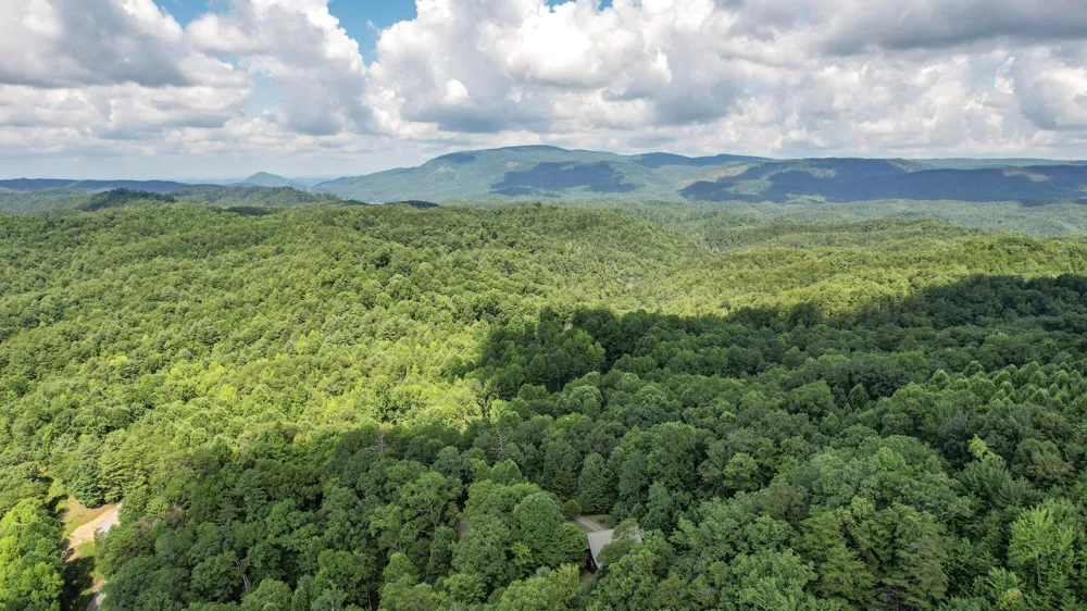 186 Caney Creek Road Reliance, TN 37369