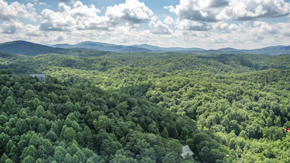 186 Caney Creek Road Reliance, TN 37369