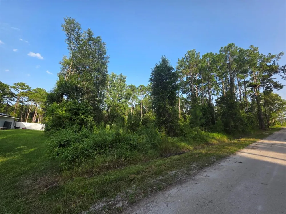 1233 EAST PARKWAY Deland, FL 32724