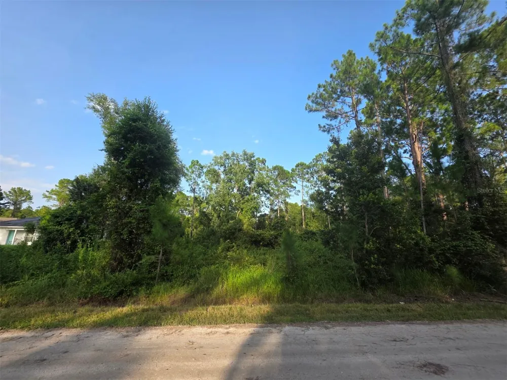1233 EAST PARKWAY Deland, FL 32724