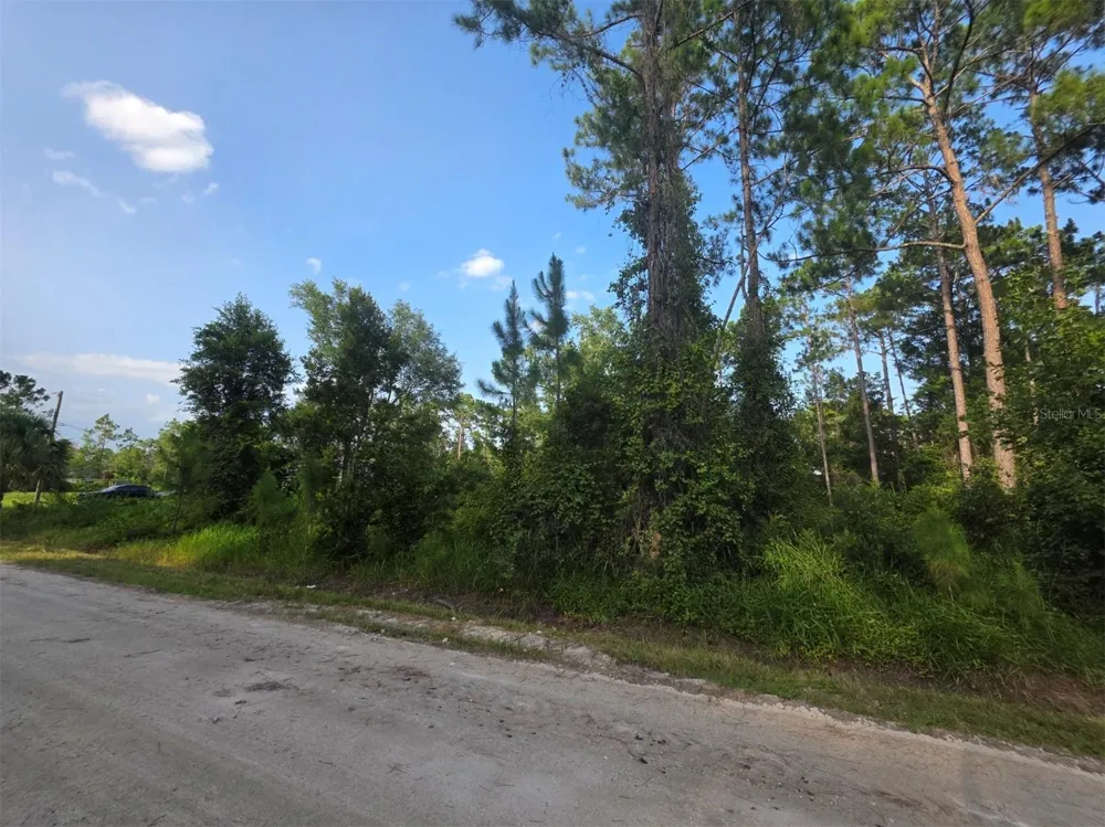 1233 EAST PARKWAY Deland, FL 32724