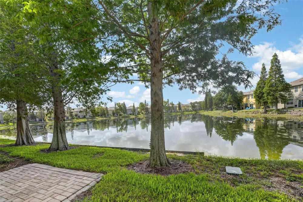 8833 MOONLIT MEADOWS LOOP Riverview, FL 33578