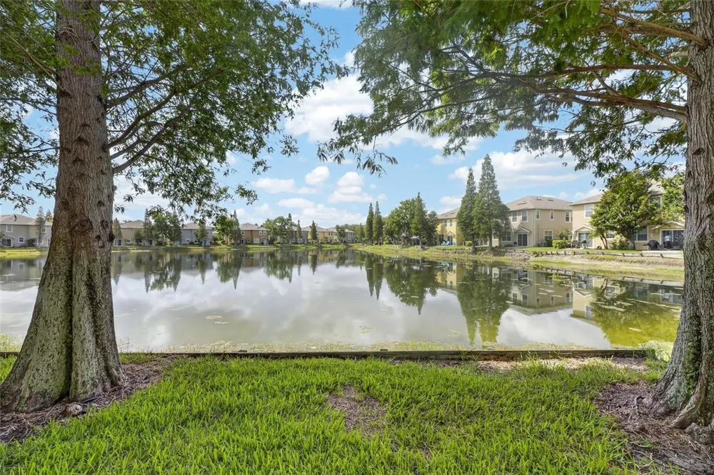 8833 MOONLIT MEADOWS LOOP Riverview, FL 33578