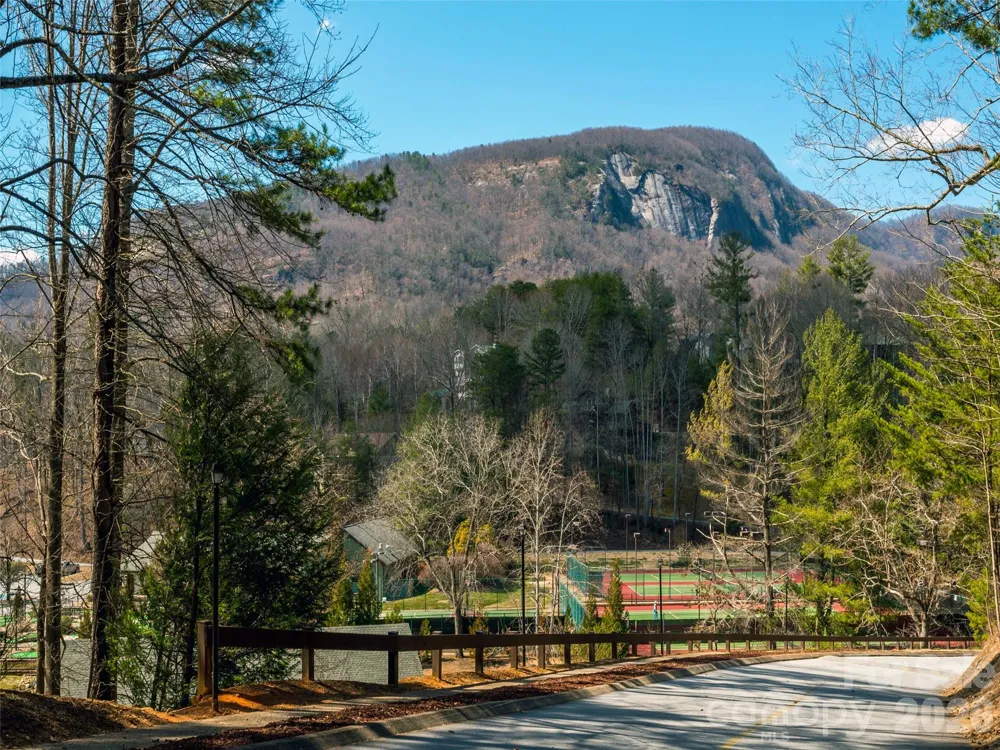0 Waterside Drive Lake Lure, NC 28746