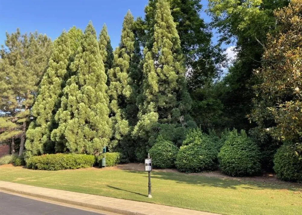 6036 Coldwater Point Johns Creek, GA 30097