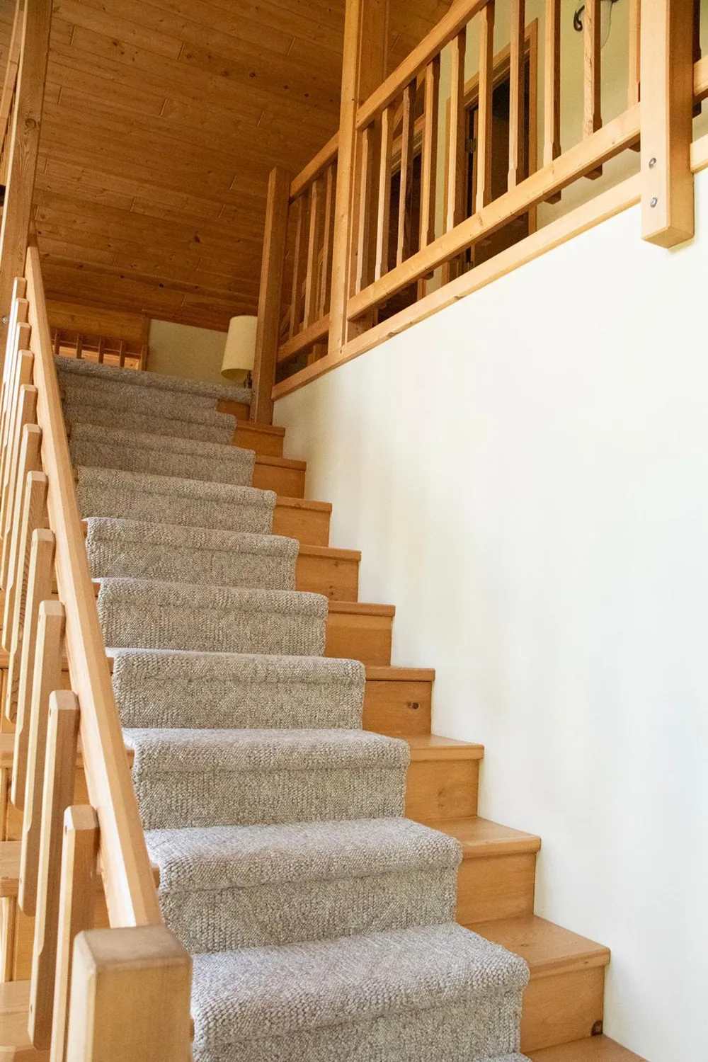 6425 Ponderosa Drive NW Walker, MN 56484