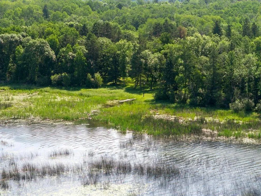 26527 County 7 Park Rapids, MN 56470
