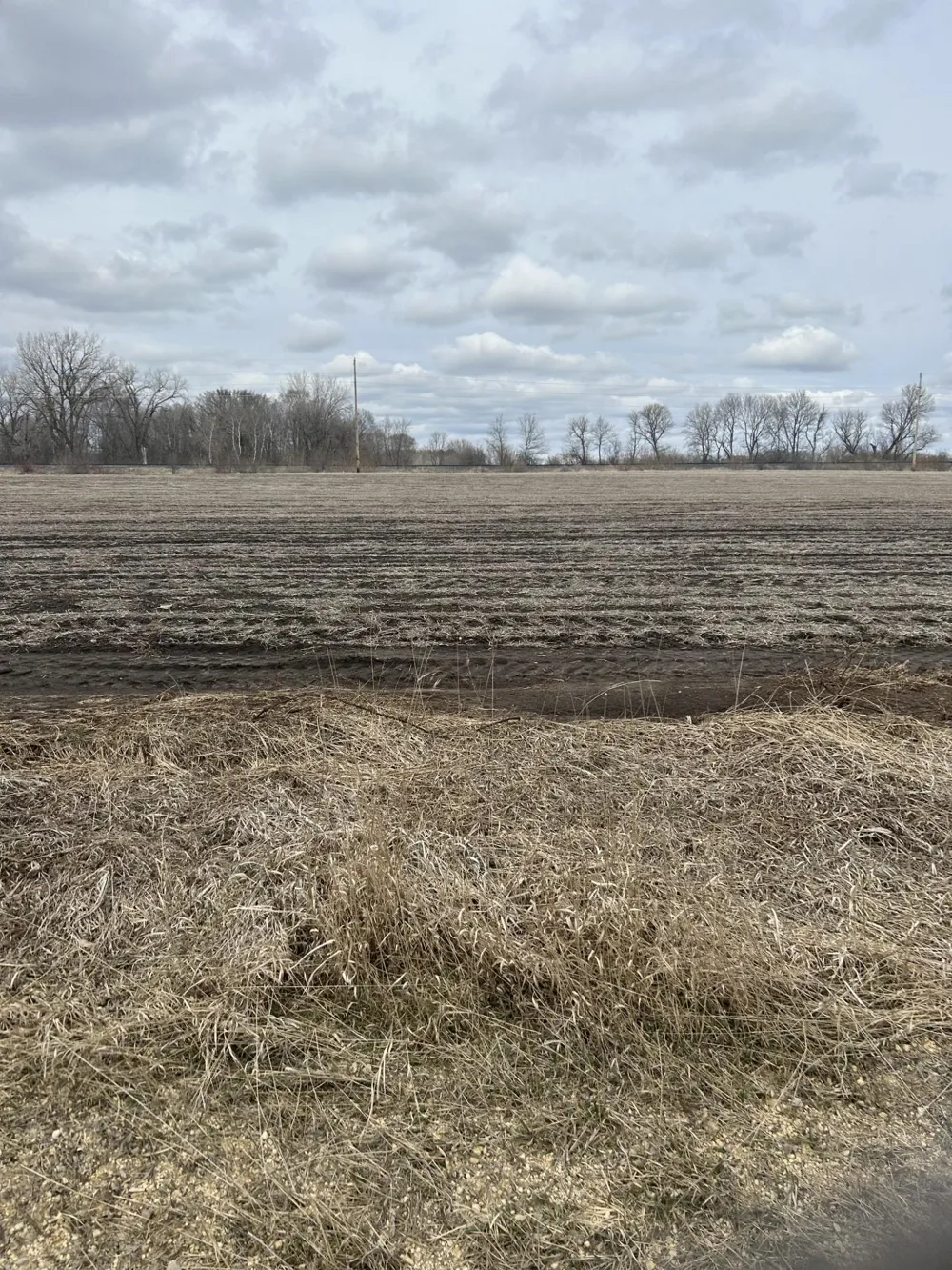 Lot 2 Block 1 Cannon River Blvd Randolph, MN 55065