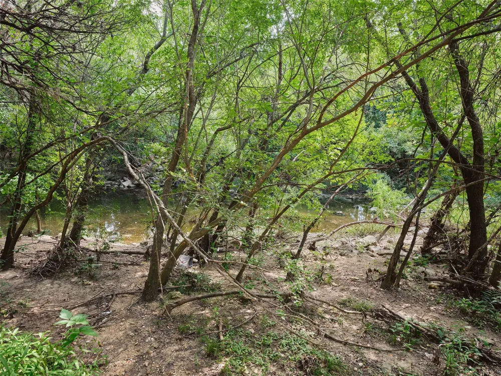 1012 Gaston Avenue Austin, TX 78703