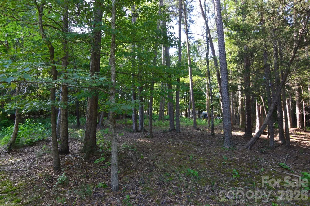 8013 Water View Drive #4 Belmont, NC 28012