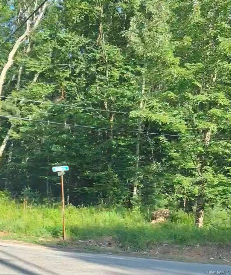 143 Mountain Dale Road Greenfield Park, NY 12435