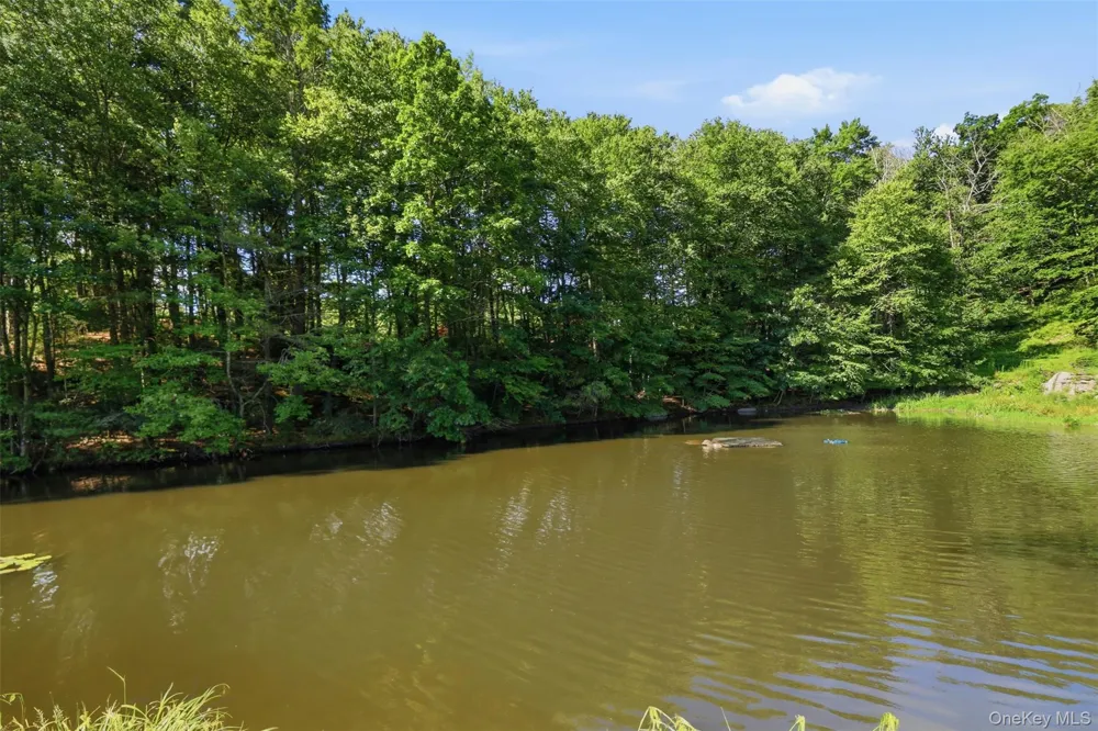 16 Buena Vista Point Glen Spey, NY 12737