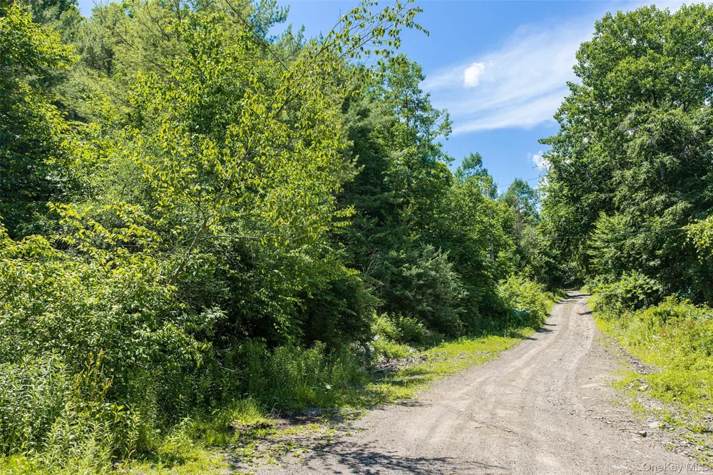 141 Hulbert Hill Road Other, NY 13733